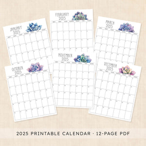succulent desk calendar Printable Calendar · Sunkissed Succulents (2025 Edition)