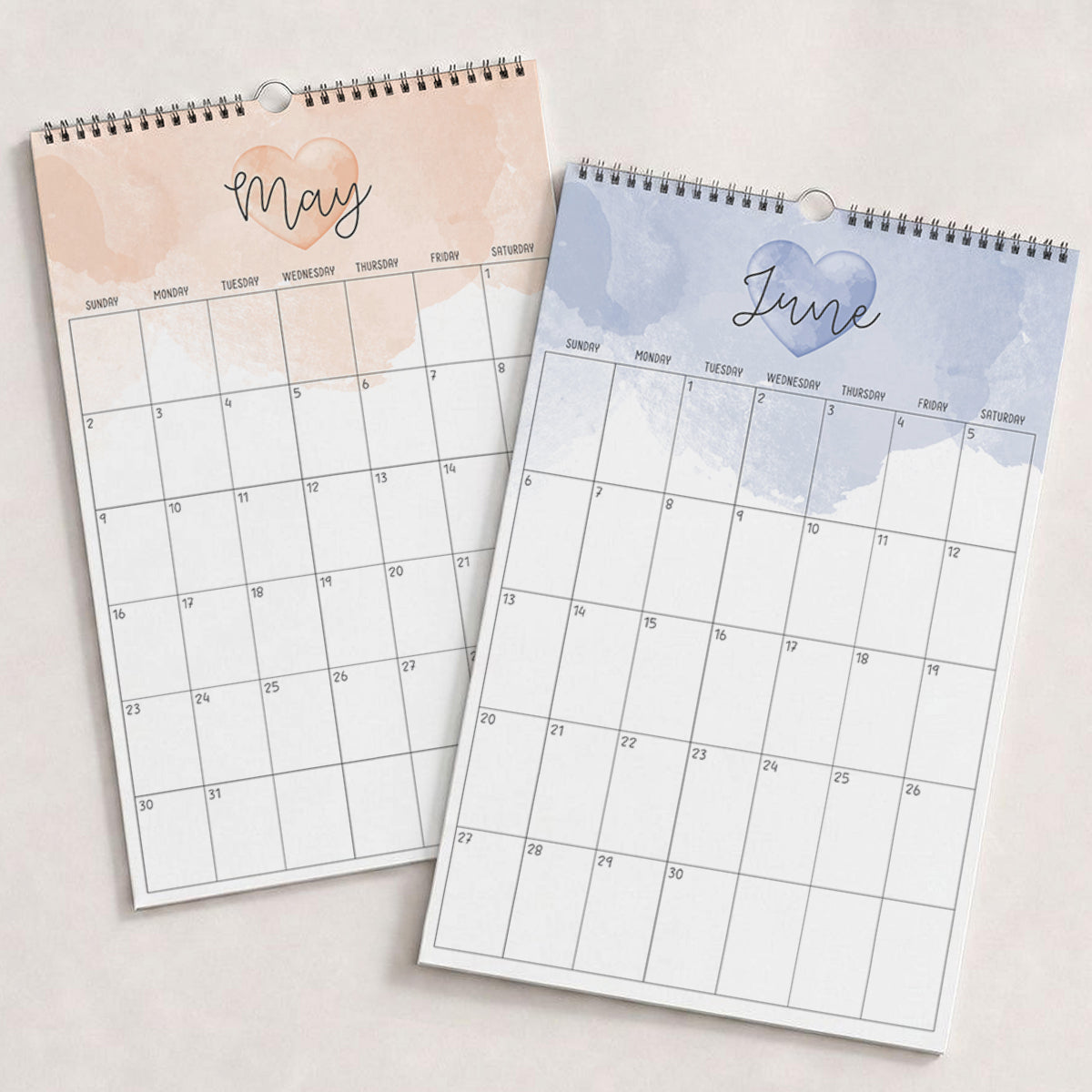 2027 Wall Calendar: Colorful Crush