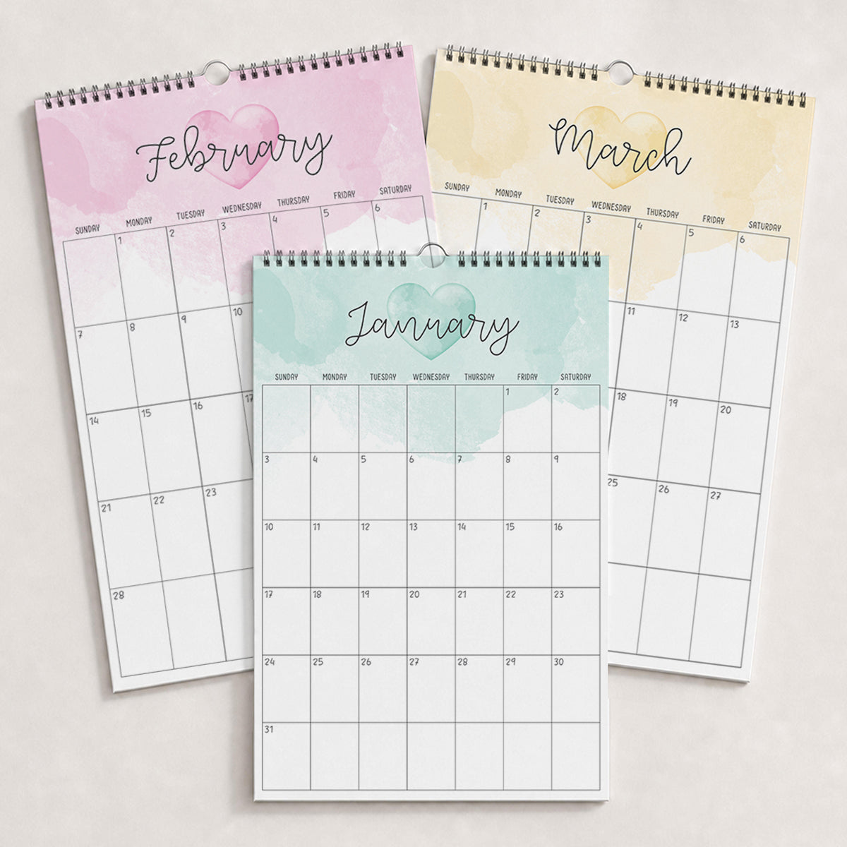 2027 Wall Calendar: Colorful Crush
