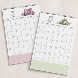 2027 Wall Calendar: Sunkissed Succulents