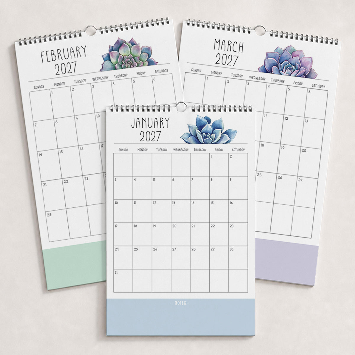 2027 Wall Calendar: Sunkissed Succulents