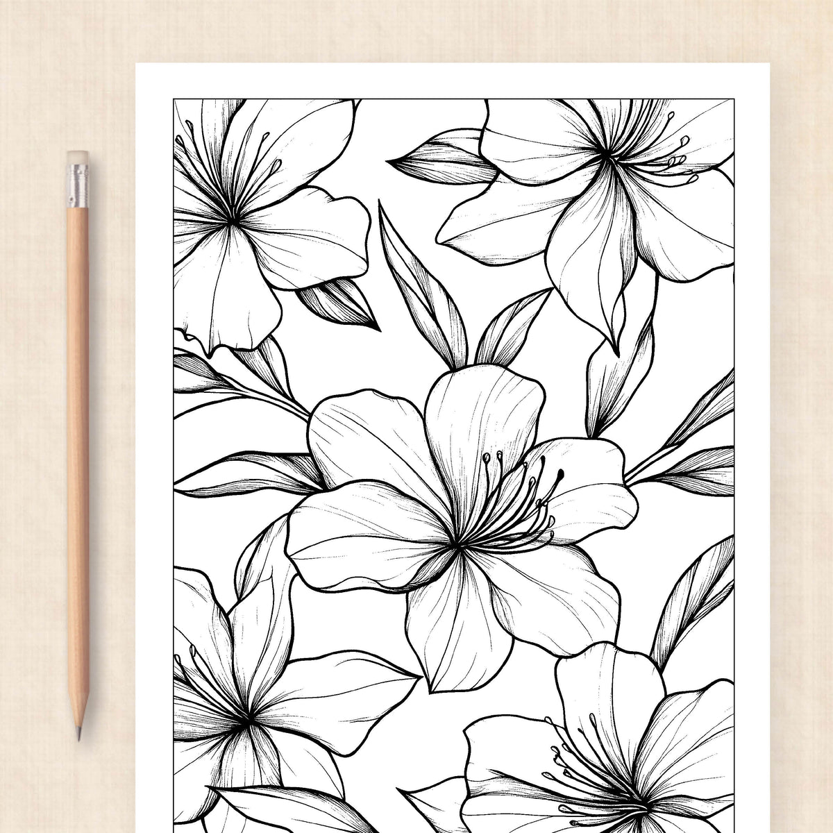 cute coloring pages