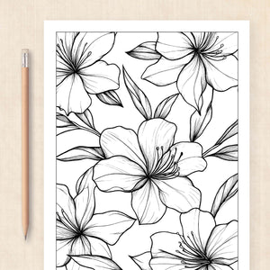 cute coloring pages