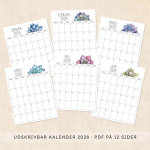 Kalender 2028 print selv: Sunkissed Succulents