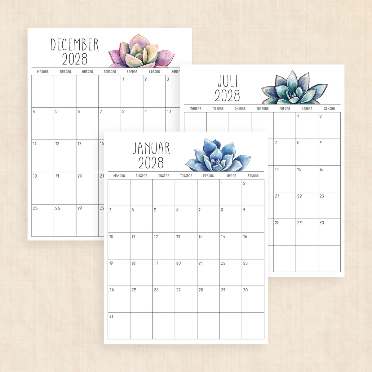 Kalender 2028 print selv: Sunkissed Succulents