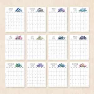 Kalender 2028 print selv: Sunkissed Succulents