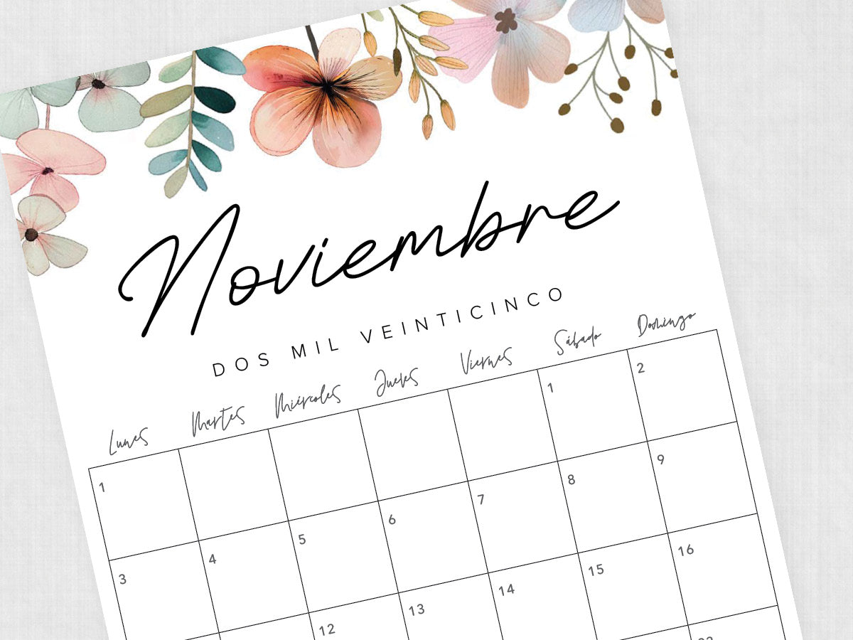 noviembre 2025 calendario plantilla