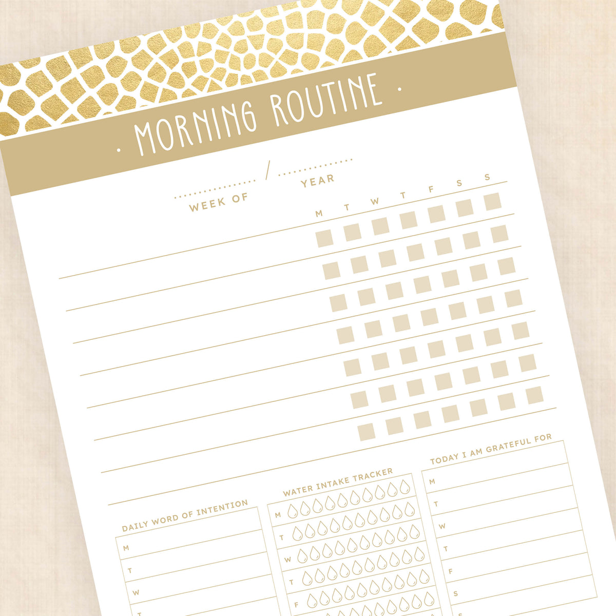 morning routine template
