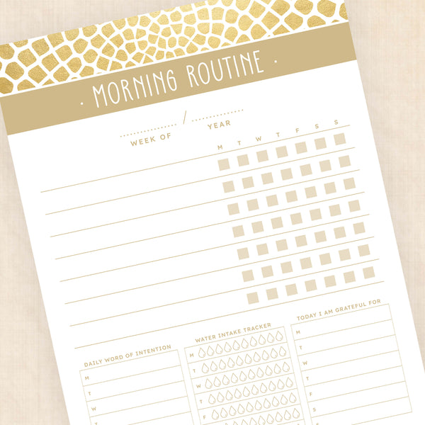 morning routine template