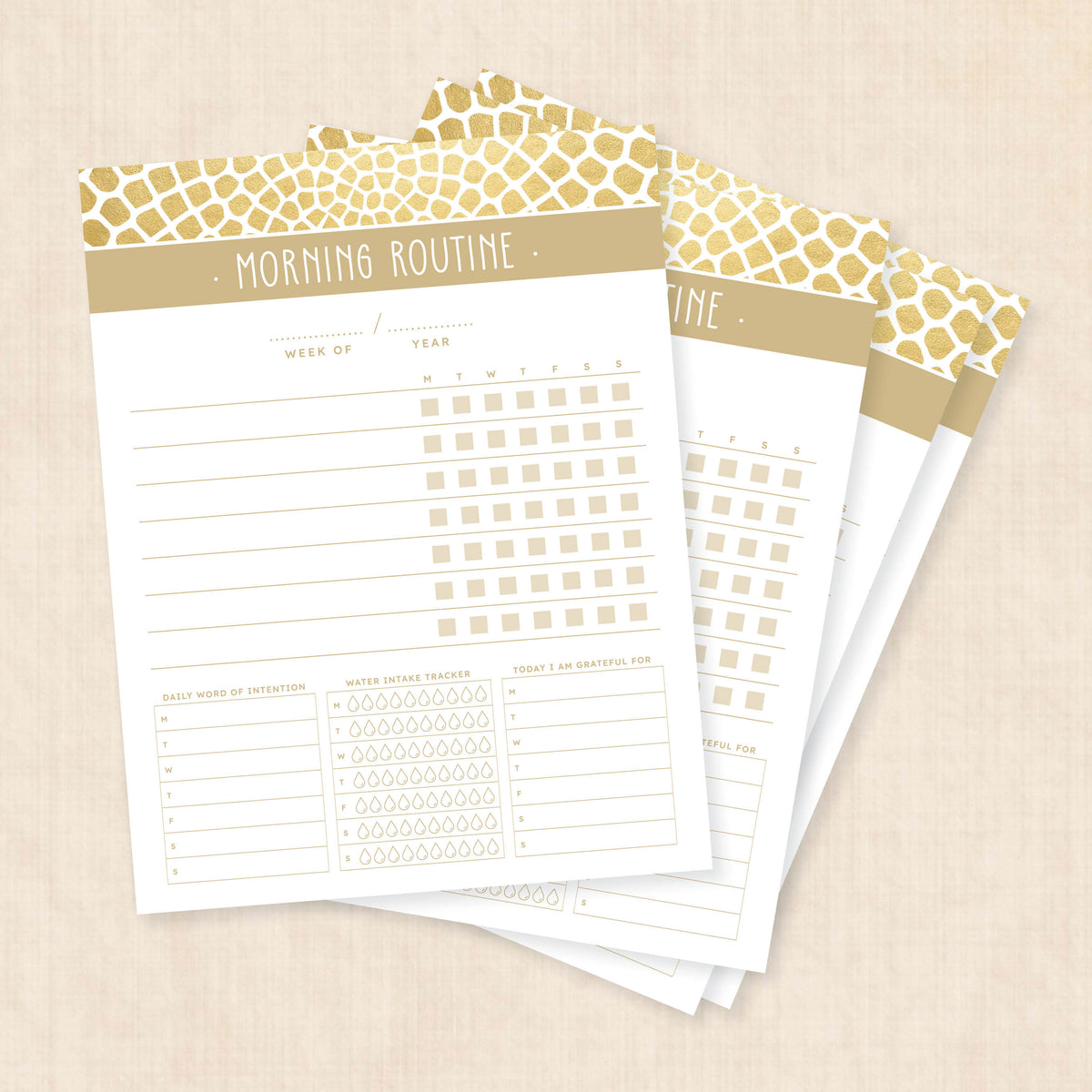 morning routine template