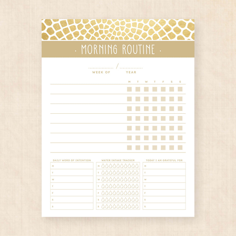 morning routine template